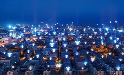 Enterprise Network
