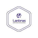 Exclusive Agent Partnership