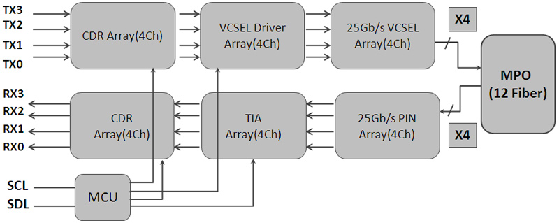 Module Block Diagram of Active Optical Cable 200G QSFP-DD SR8 to 2x100GBASE QSFP28 SR4