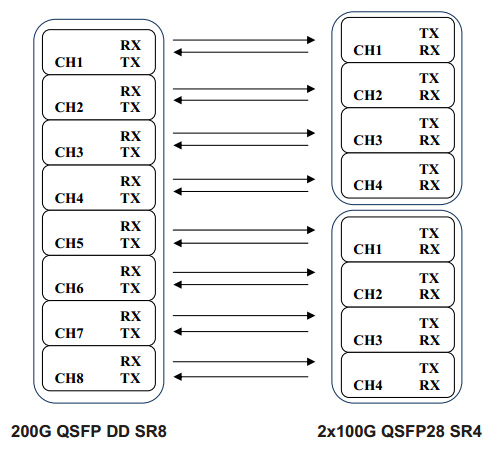Module Block Diagram of Active Optical Cable 200G QSFP-DD SR8 to 2x100GBASE QSFP28 SR4
