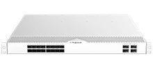 Data Center White Box Switch PTP with Renesas 16x10G SFP+, 4 x100G QSFP28